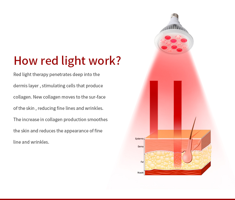 ashine 24w red light therapy bulb