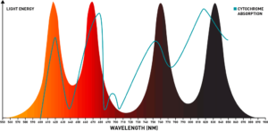 red light therapy wavelengths